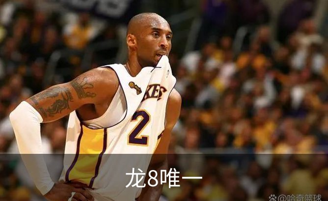 了解龙8唯一